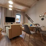 Ii Mecenasowka Apartment